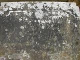 image of grave number 174758